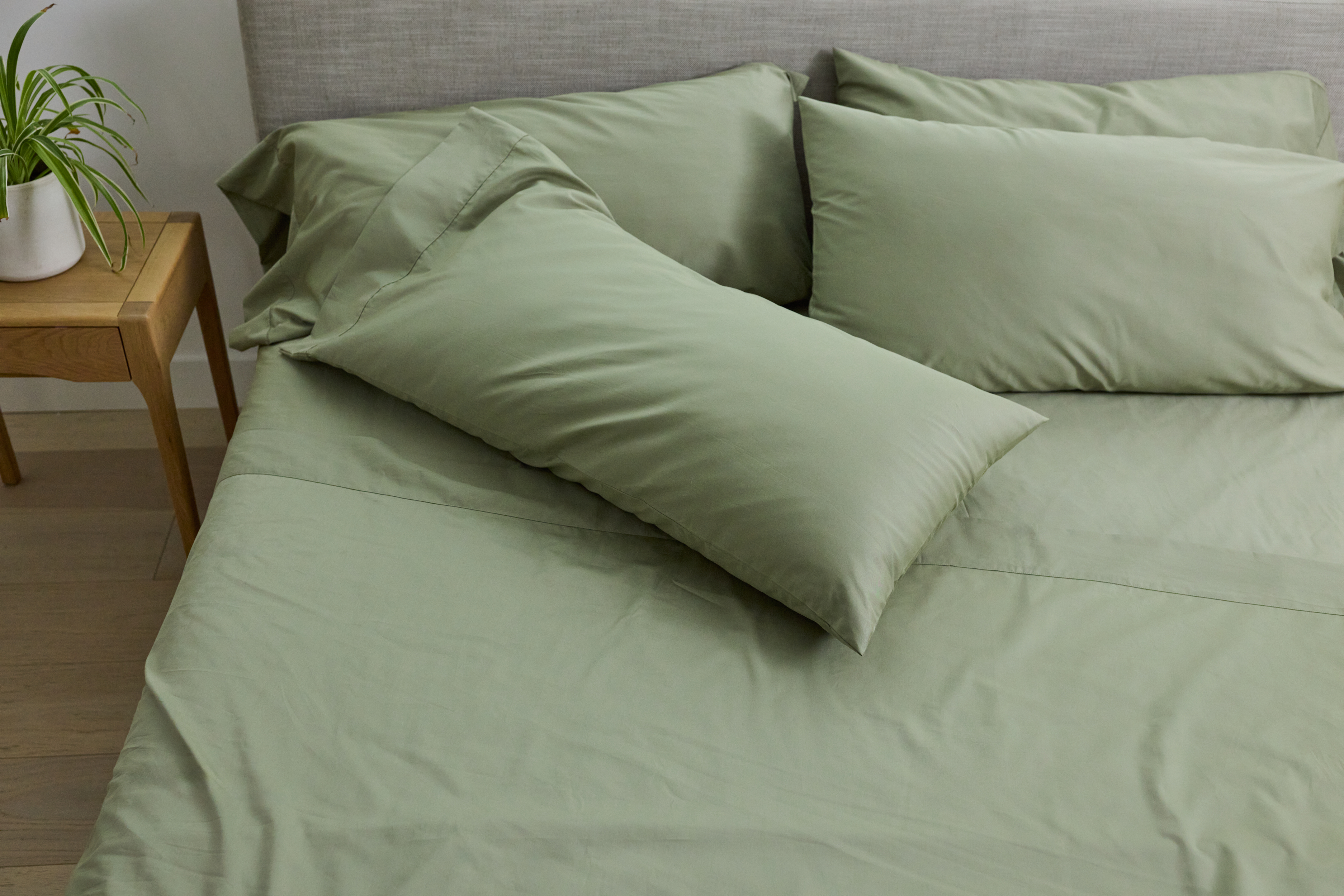 Performance Cotton bedding